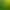Exotic Bird Sound Effects