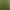 Pacific Northwest sound ambiences