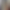 new sound effects
