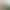 gym wave forest sound effects