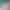 New sound effects