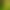nature sound effects recording