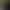 2 concerned children run through a cornfield.