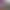 11 new sound libraries