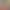 Untitled Goose Game sound
