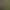 Google Pixel birdsong