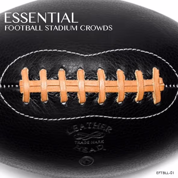 Stadium Crowd Sound Effects