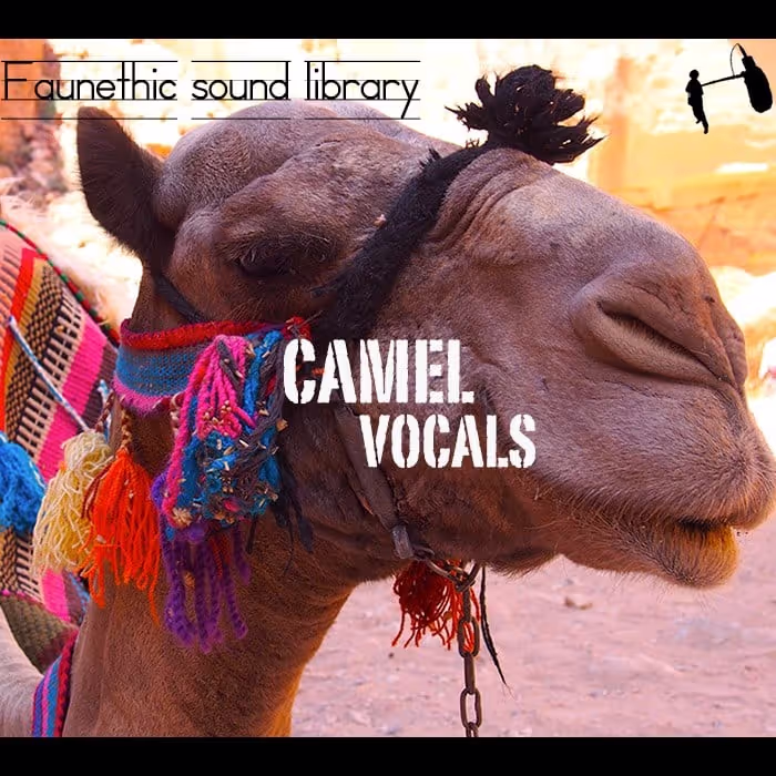 Camel sound effects library