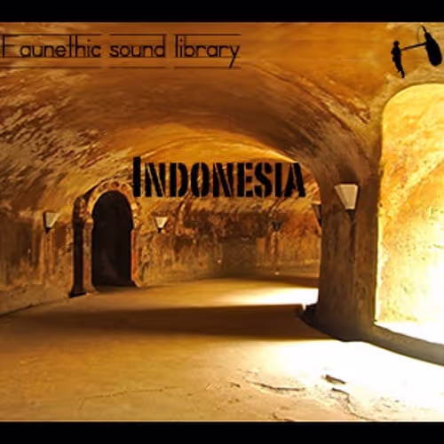 Indonesian ambiences and sound effects