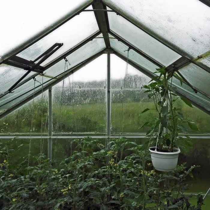 Rain Indoor Ambience sounds