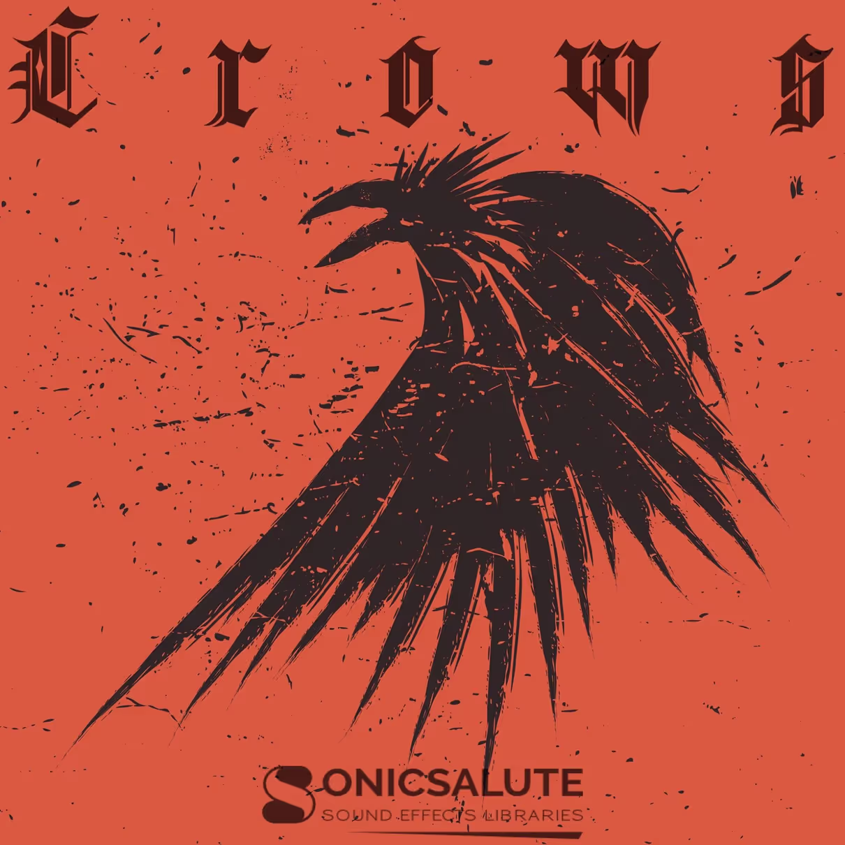 crow sound effects