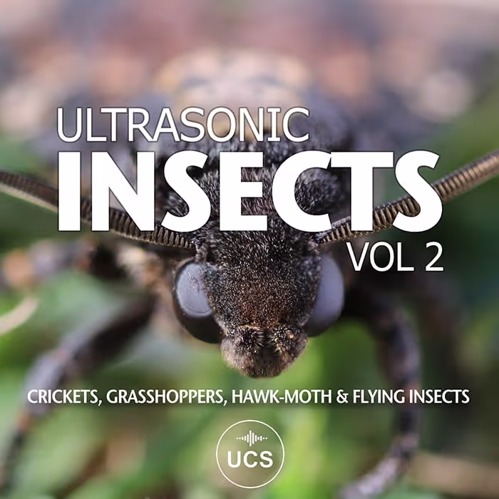 Ultrasonic Insects Vol 2