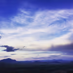 desert sound effects 5