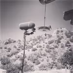 hummingbird sound effects 02