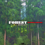 Forest summer sound effects