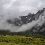 summer mountain ambiences