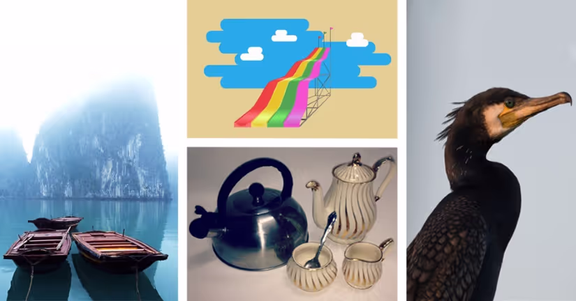 sound effects vietnam birds tea slide