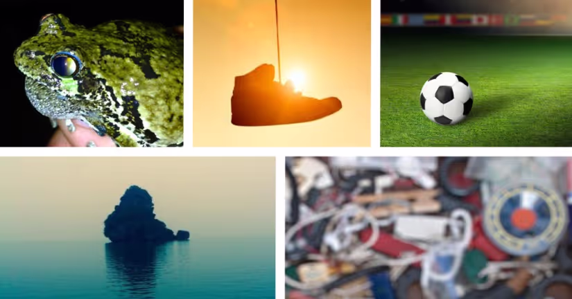 new sound effects frogs football foley