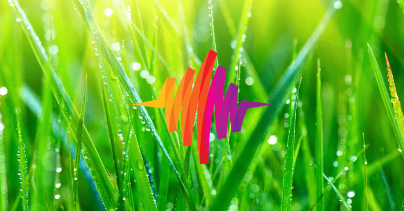 super spring sound effects sale