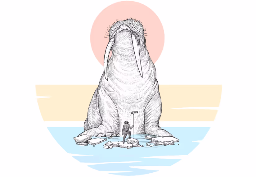 Animal sound effects library