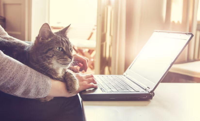 Sound Work From Home - Remote Audio Workflow