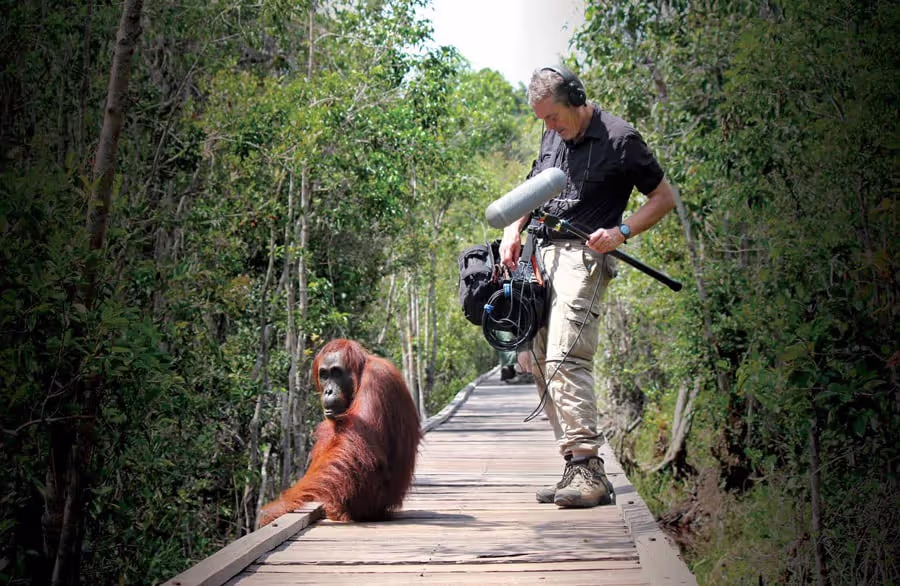 Chris Carter Collection