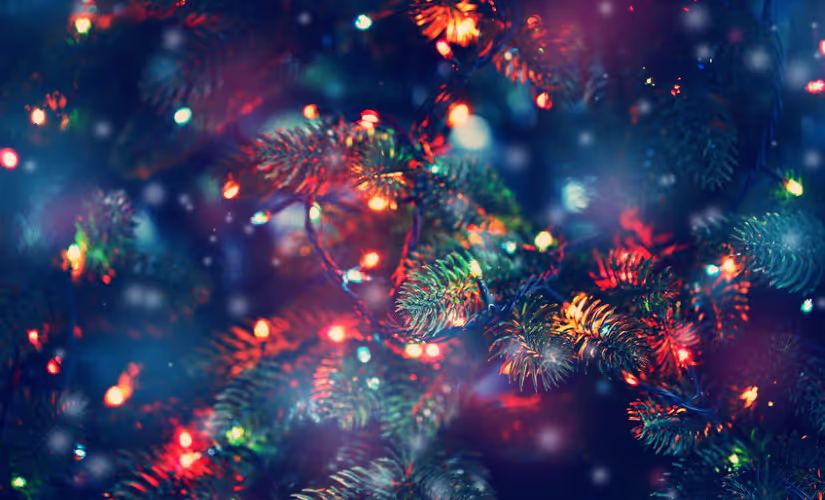 Sound Effects Bonus Bundle