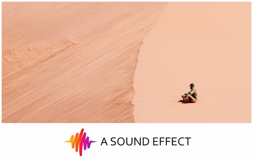 Wild field recording adventures with George Vlad