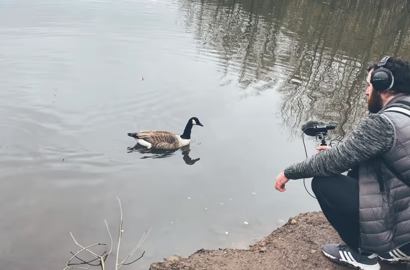 GeeseLibrary_sound-02