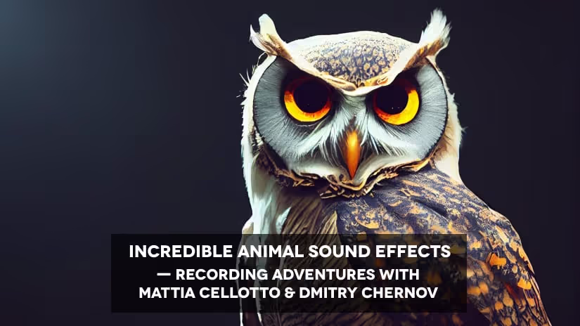 Animal sound effects library recording