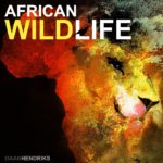 African Wildlife sound library cover by Daan Hendriks