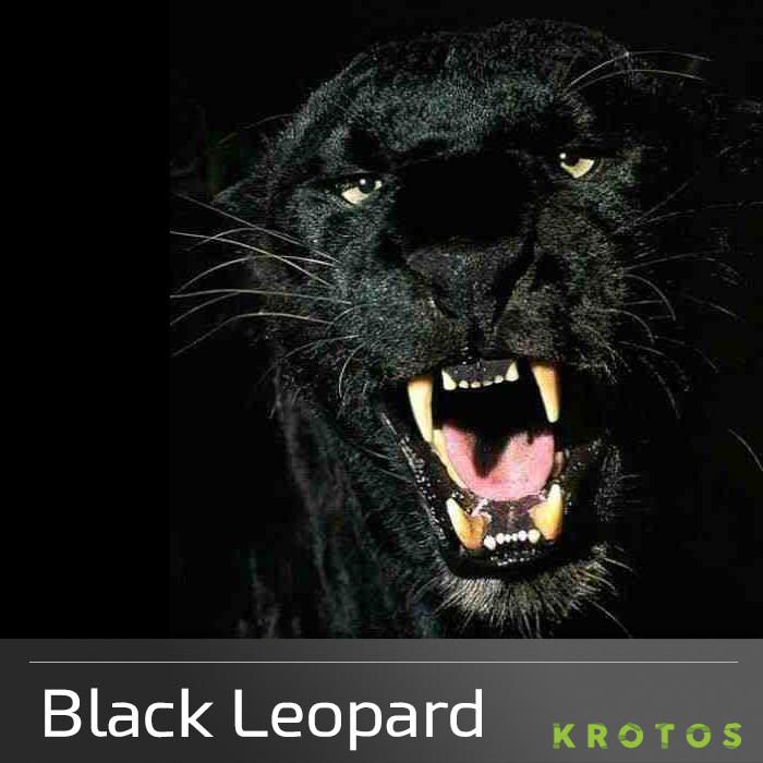Black Leopard - 6 users | Black Leopard Sound Effects Library ...