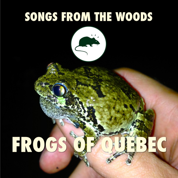 frog sound effects library