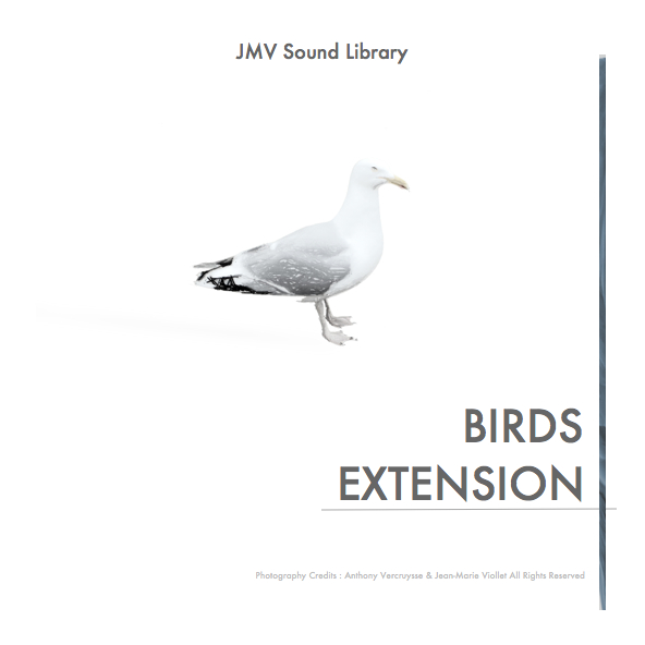 Birds extension sound library