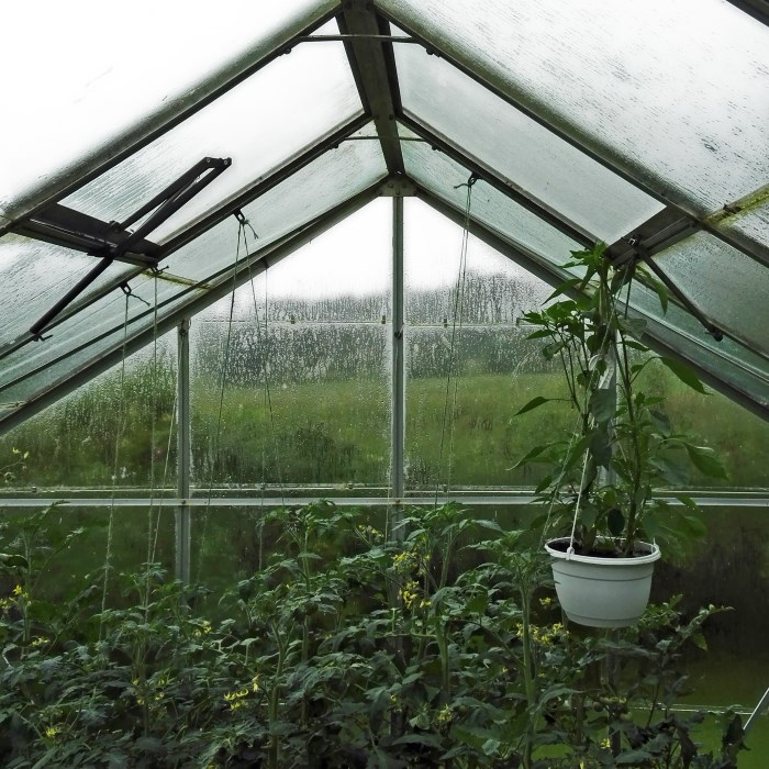 Rain Indoor Ambience sounds