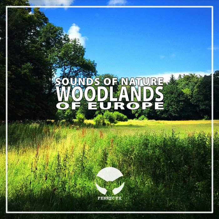 woodlands sound effects