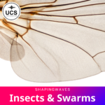 Insects & Swarms sound library cover by ShapingWaves