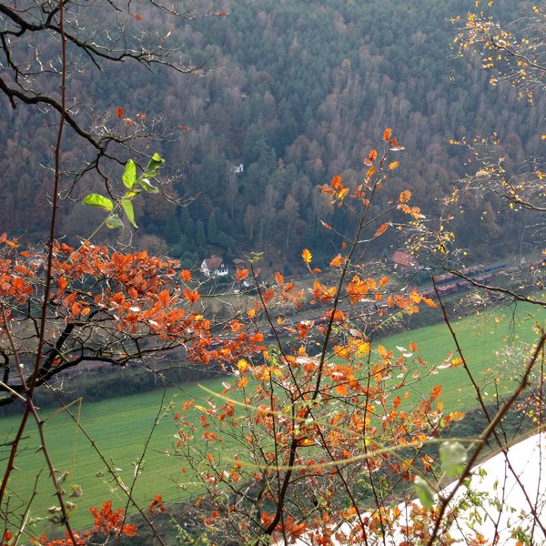 Protected: new test prod after asfx relaunch