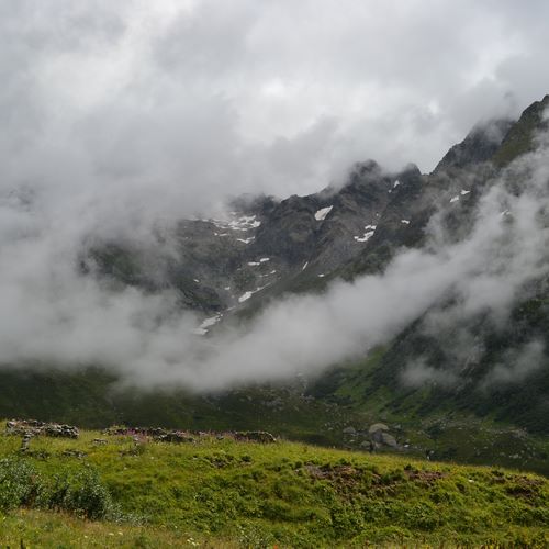 summer mountain ambiences