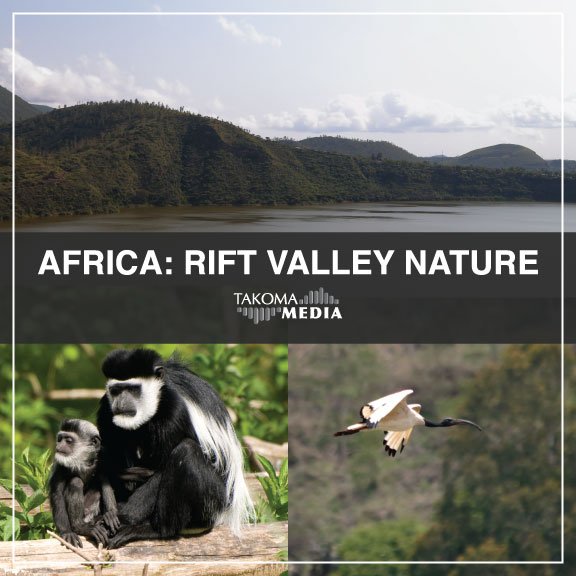 African Nature