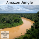 Amazon Jungle sound library cover by Mindful Audio