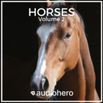 Horses Volume 2 sound library cover by Audiohero