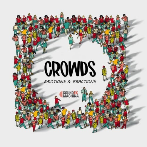 Crowds: Emotions And Reactions cover