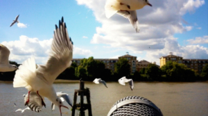 HDM_sound-3