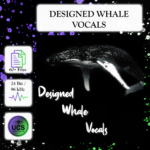 Designed Whale Vocals sound library cover by Celine Woodburn