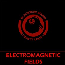 Electromagnetic BlackCrowSound