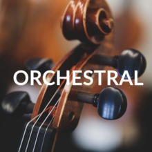 Orchestral Instruments
