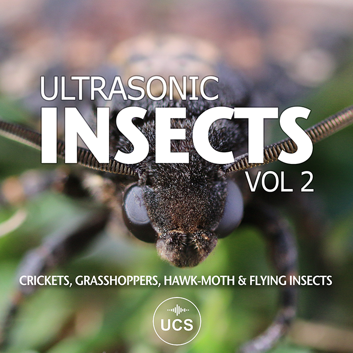 Ultrasonic Insects Vol 2