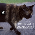 Tortie Cat Vocabulary sound library cover by Stereotyp Sounds