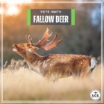 Fallow Deer sound library cover by Peter Smith